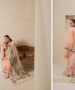Elaf E-Craft EHC-3B Chikankari Lawn Dress in the USA 