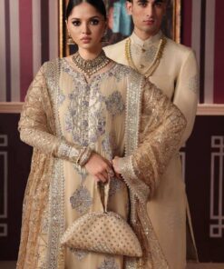 Roheenaz Empress Glow Luxury Chiffon Dress in the USA