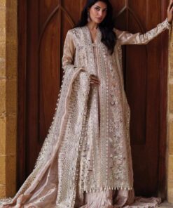Afrozeh Rang-e-Dastaan Dastangoi Wedding Formal Dress in the USA 