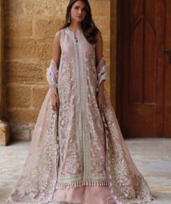 Afrozeh Dastaan-e-Noor Dastangoi Wedding Formal Dress in the USA 