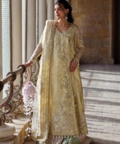 Afrozeh Afsaan Dastangoi Wedding Formal Dress in the USA 