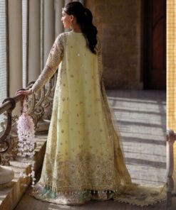 Afrozeh Afsaan Dastangoi Wedding Formal Dress in the USA 