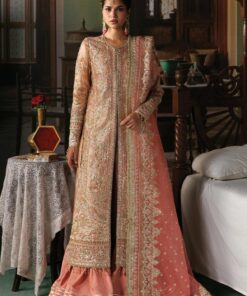 Afrozeh Aabroo Shehnai Organza Wedding Formal Dress in the USA 