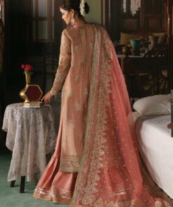 Afrozeh Aabroo Shehnai Organza Wedding Formal Dress in the USA 